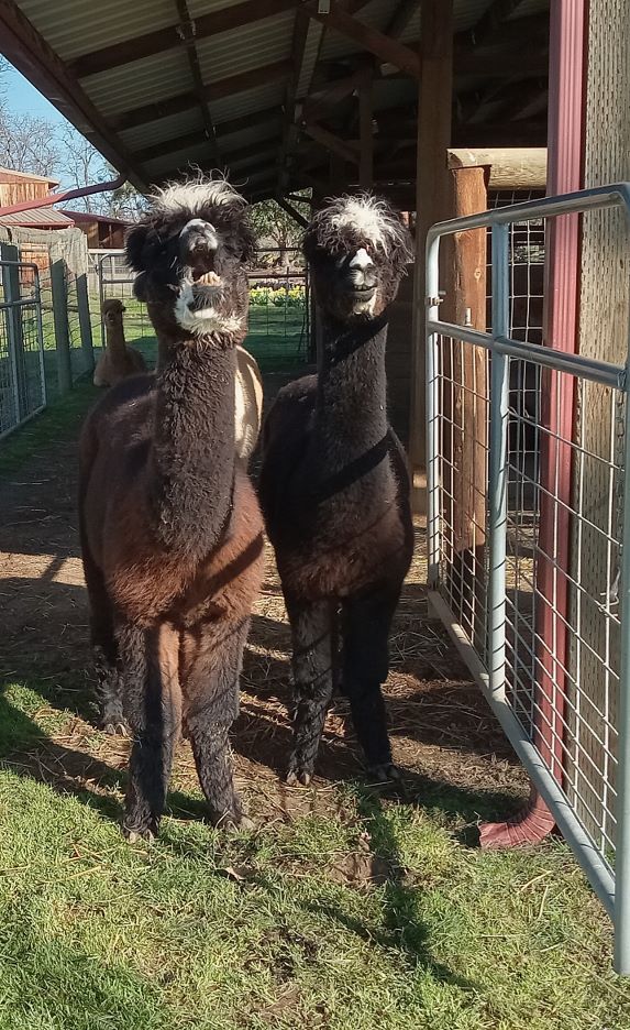 mother and  daughter